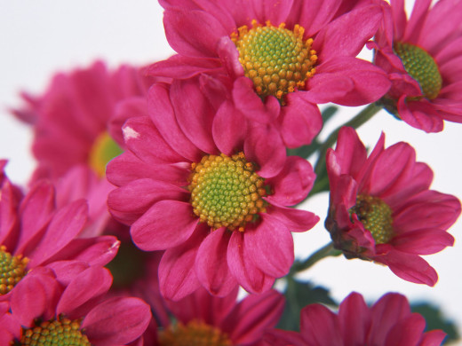 425987 (a): :1600x1200